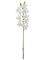 12-Pack: Real Touch White Dendrobium Spray, Floral Home by Artificial Flowers